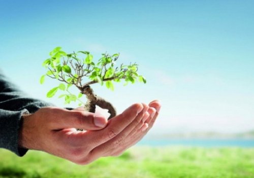 توزیع بسته‌های کمک معیشتی